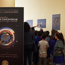 Ho vinto, abbiamo vinto.