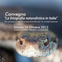 La fotografia naturalistica in Italia