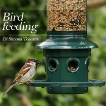 In inverno, offriamo cibo agli uccellini