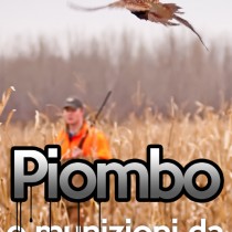 Piombo e munizioni da caccia