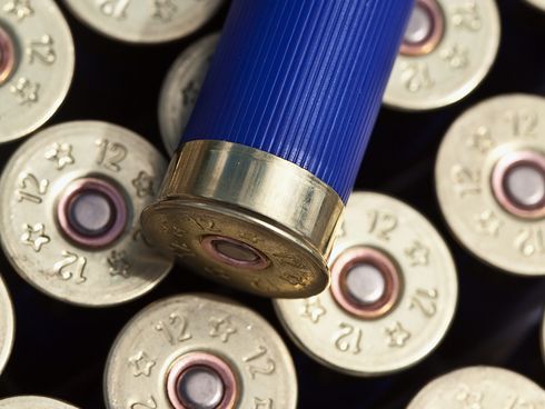 1381538213000-shotgun-shells