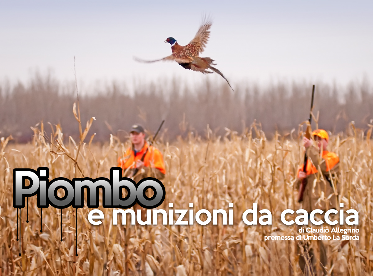 Piombo